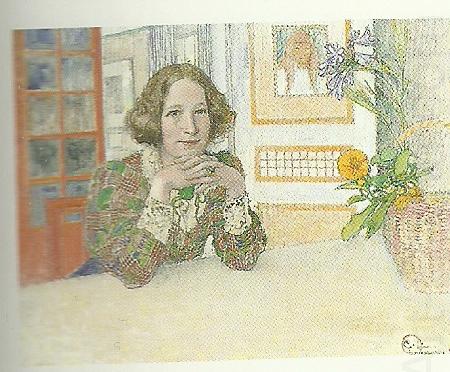 annastina alkman, Carl Larsson